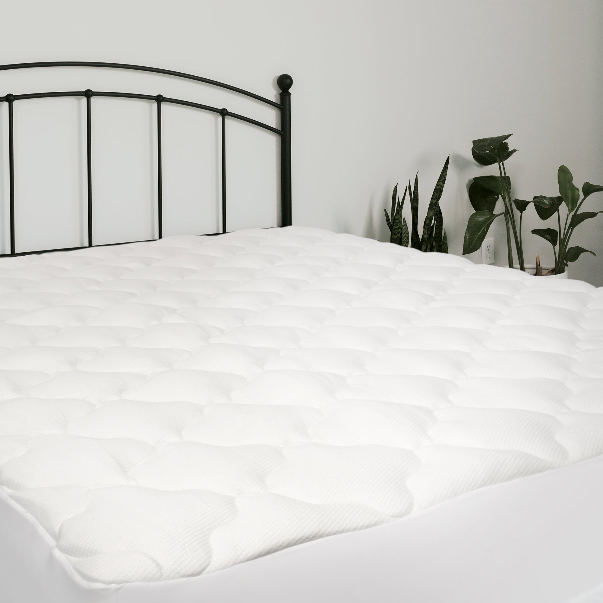 Wholesale Twin XL Dorm Mattress Pad & Cover - Free Shipping